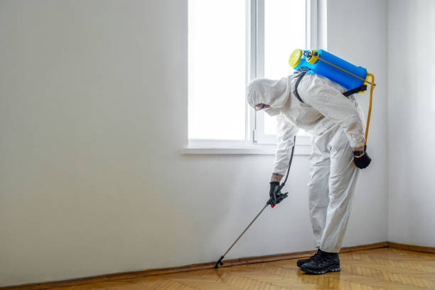 Best Wildlife Control Services  in Canton, MO