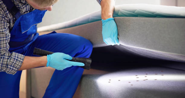 Best Commercial Pest Control Services  in Canton, MO