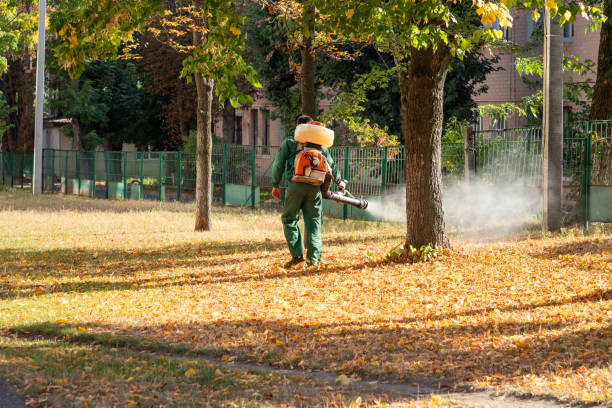 Canton, MO Pest Control Company